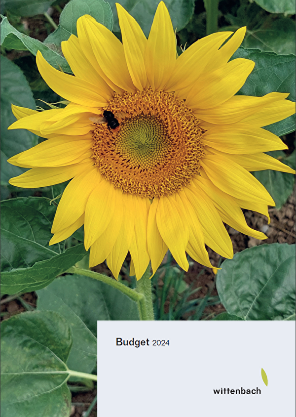 Budget 2024