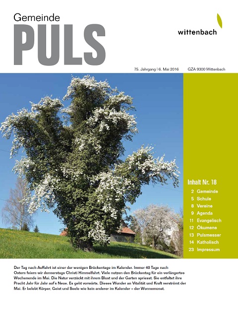 Gemeindepuls 16/18