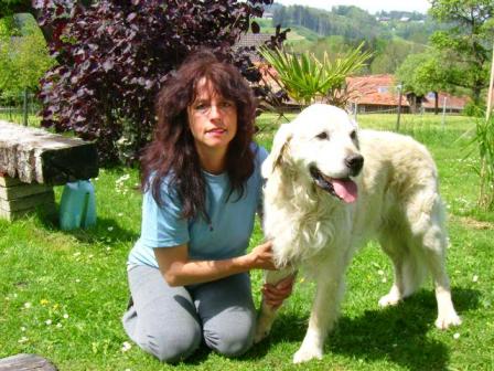 Foto Hundeschule