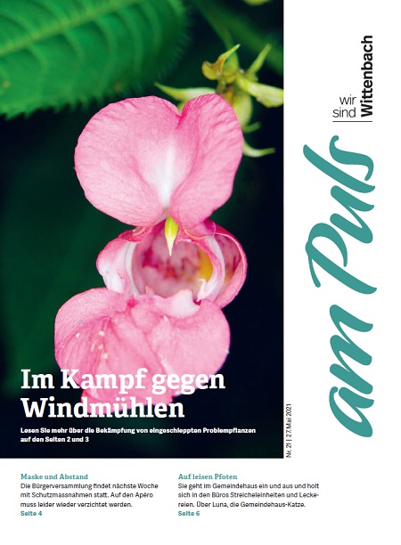 am Puls 2021/21