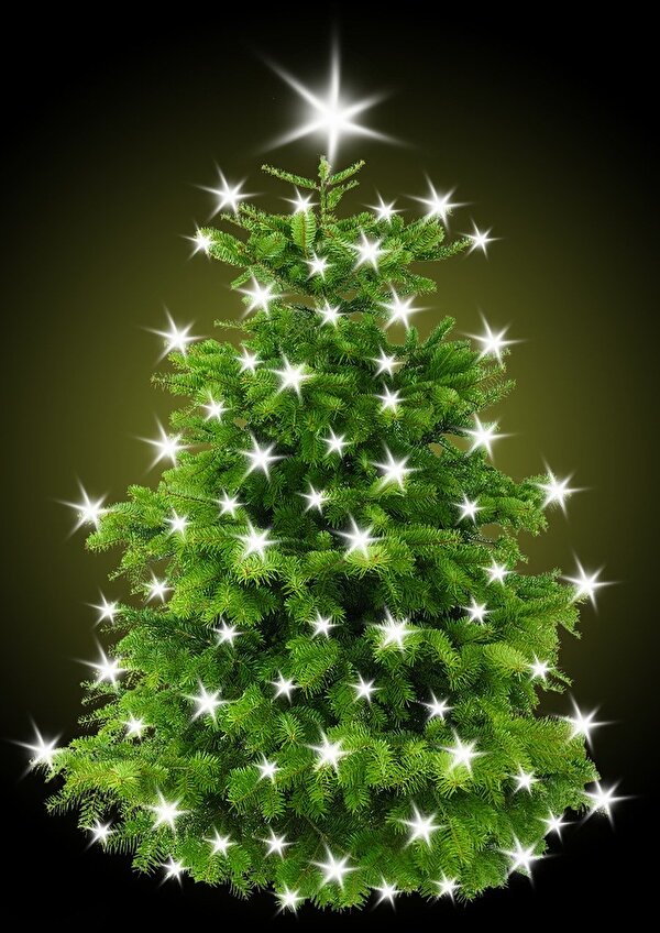 Christbaum