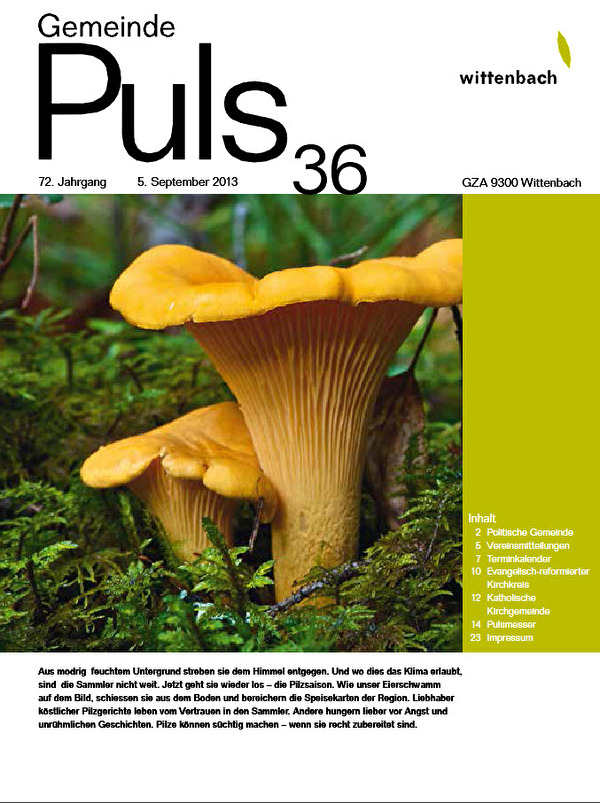 Gemeindepuls 13/36