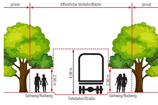 Rückschnitt von Hecken und Sträuchern