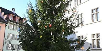 Foto: Der Weihnachtsbaum beim Rathaus: Die weihnachtliche Dekoration haben Schülerinnen und Schüler gemacht.