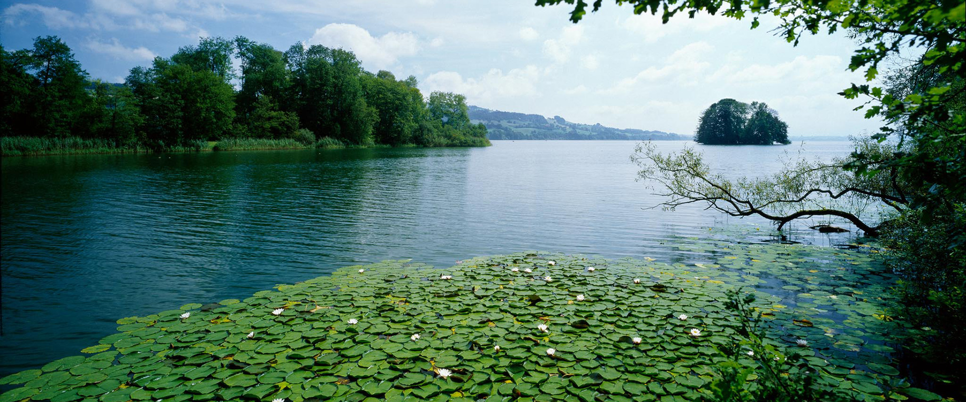 Sempachersee