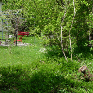 Vielfalt