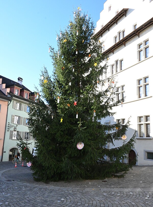 Foto: Der Weihnachtsbaum beim Rathaus: Die weihnachtliche Dekoration haben Schülerinnen und Schüler gemacht.