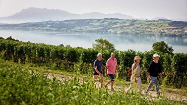 Luzern Tourismus