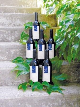 Weinbau Stocker Pia und Toni