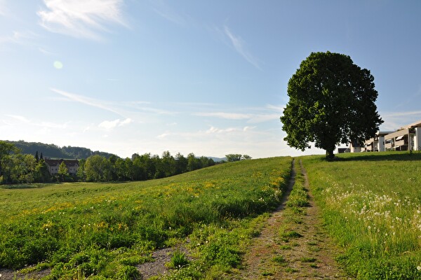 Lebensereignisse