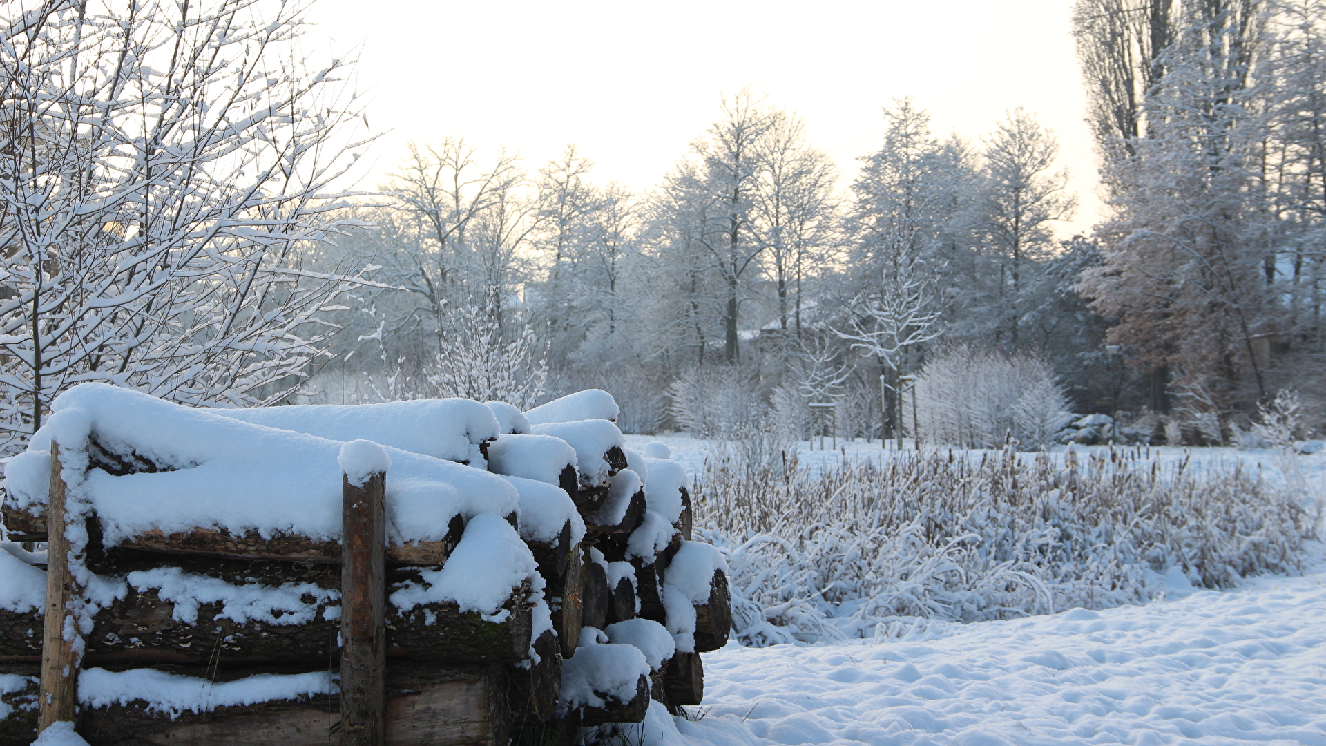 Winterlandschaft