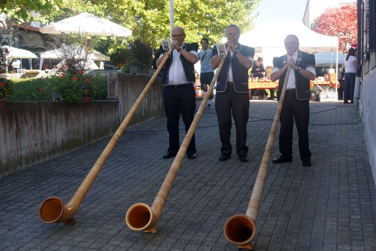 Groupe cors des alpes en visite surprise
