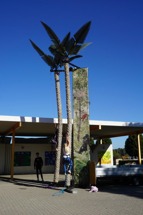 Jeu des cocotiers