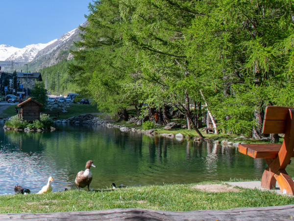 Almagellersee