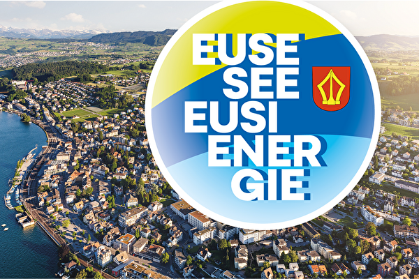 Logo Energieverbund Wädenswil