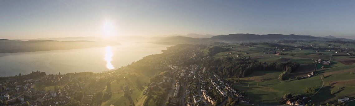 Luftbild der Stadt Wädenswil