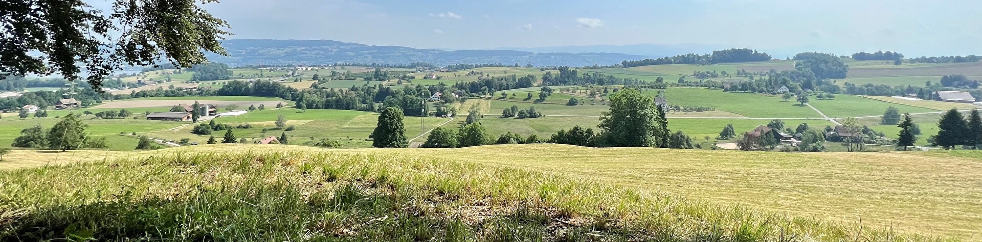 Schönenberg