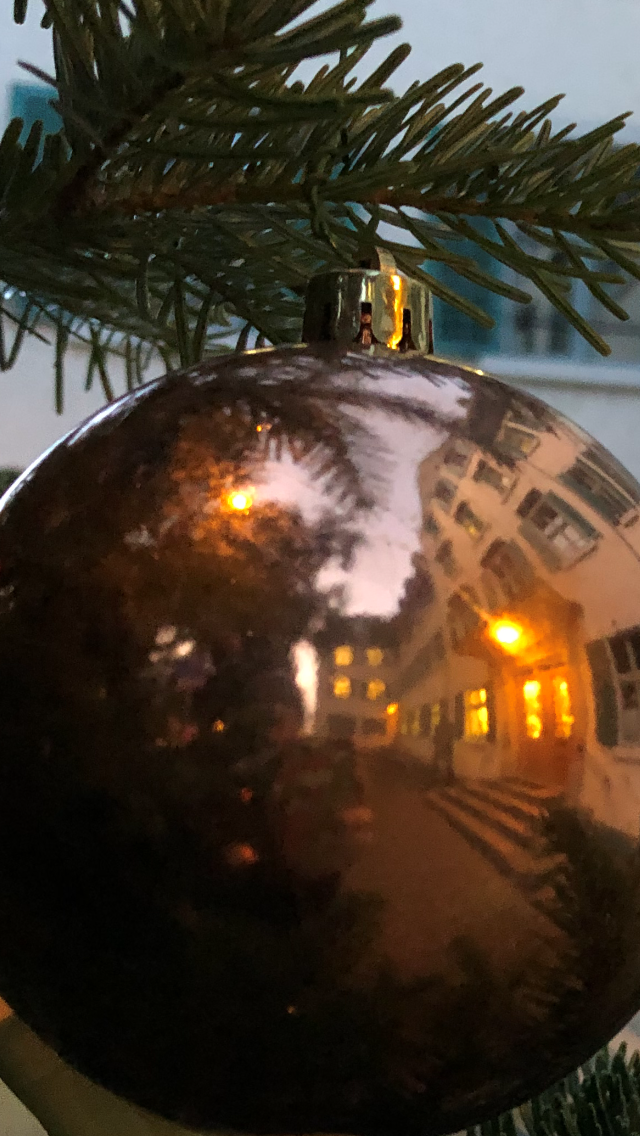 Weihnachtsbaum vor dem Stadthaus W?denswil
