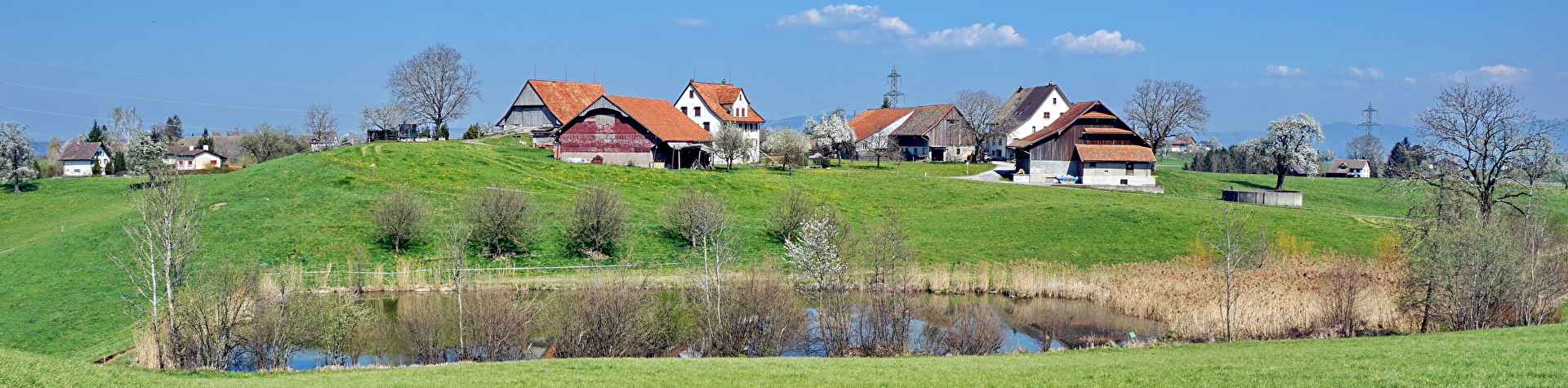 Frühling im Schönenberg