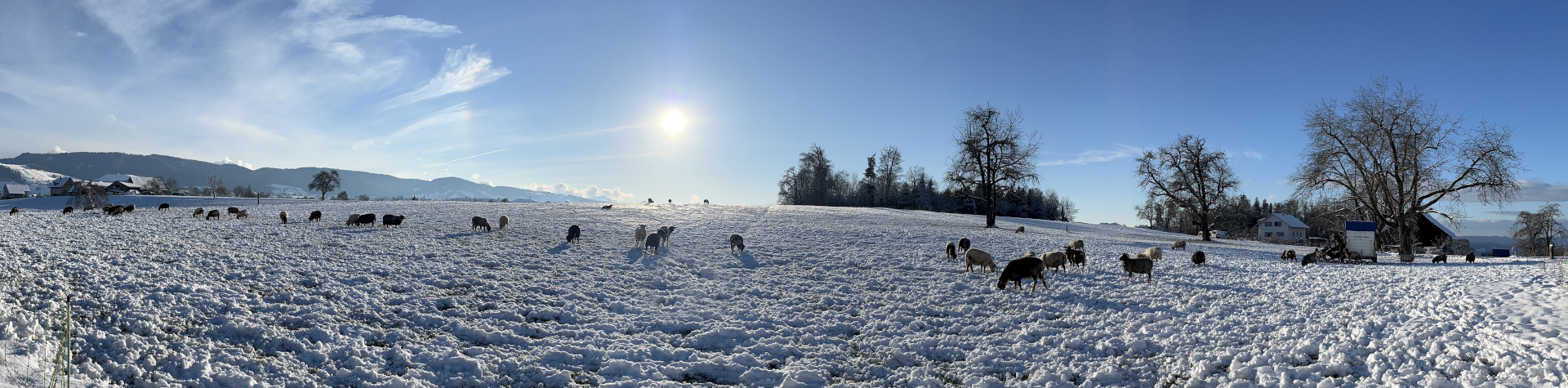 Winterstimmung Wädenswiler Berg