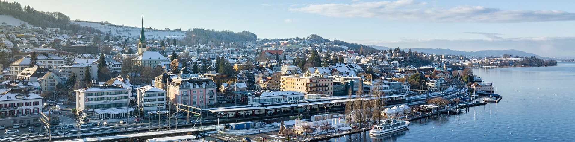 Winter in Wädenswil