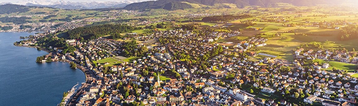 Luftbild der Stadt Wädenswil