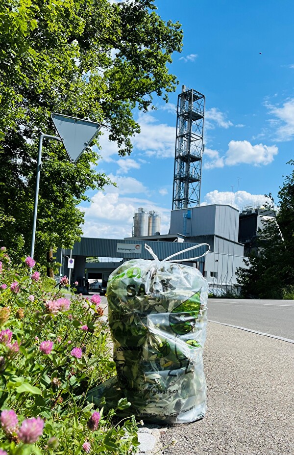 Bild eines Neophytensack