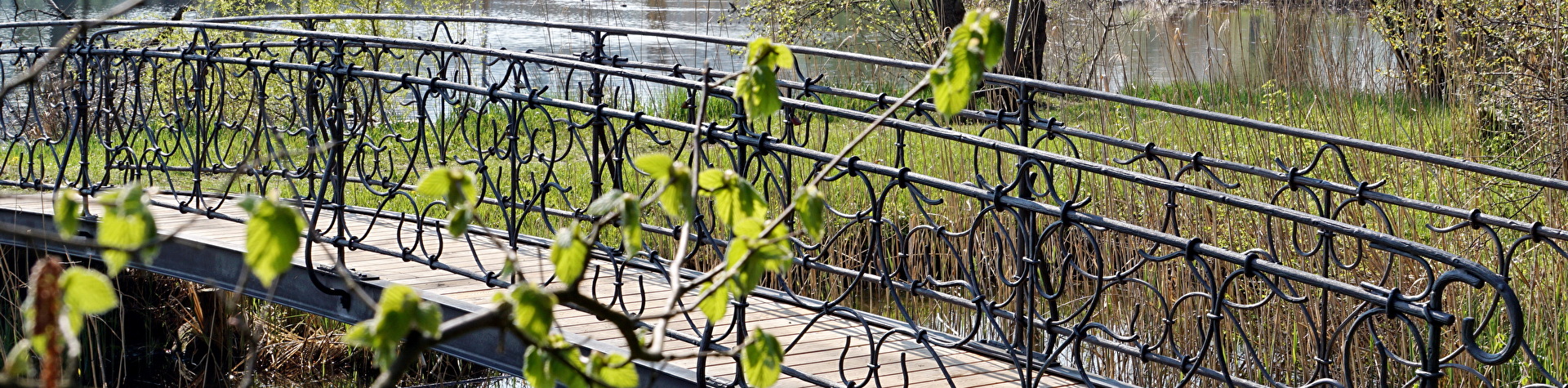 Frühling Schloss Halbinsel Au