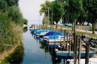 Bild Hafen Salmsach