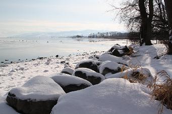 Salmsacher Winterlandschaft