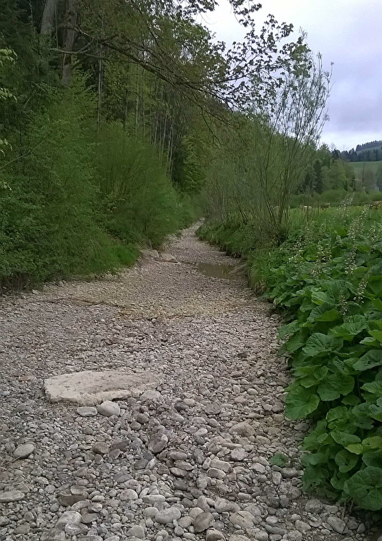 Foto Aachbach bei Egghalden