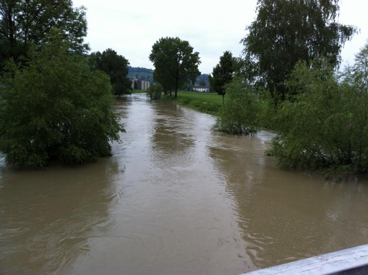 Rheintaler Binnenkanal
