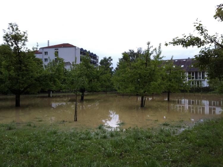 Wiese bei Alterswohnungen und Alters- und Pflegeheim