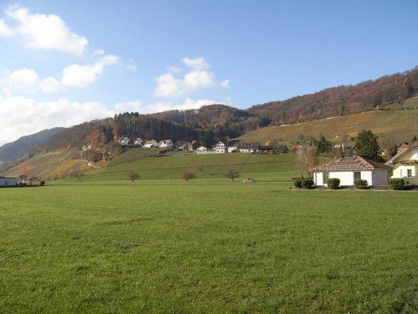 Der Blick von Wees, Au, Richtung Kobel (Gemeinde Berneck).