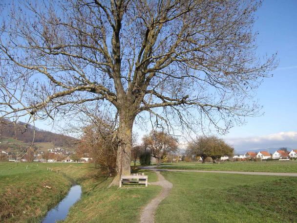 Dieses idyllische lädt zum Verweilen ein. Es wird dafür auch rege benützt.