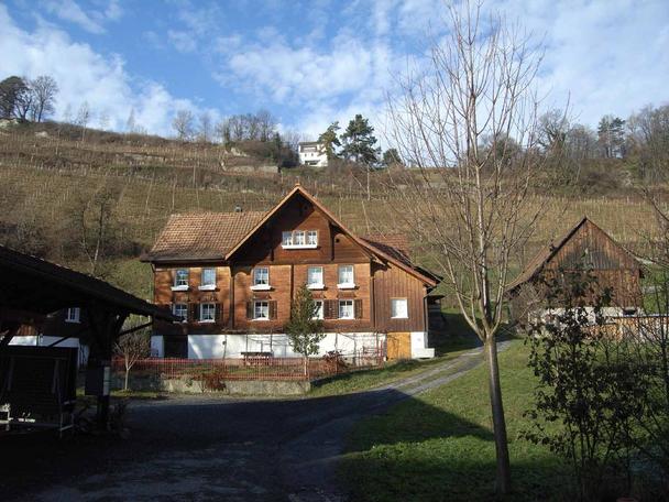 Schönes, gut erhaltenes Haus an der Büchelstrasse in Au.