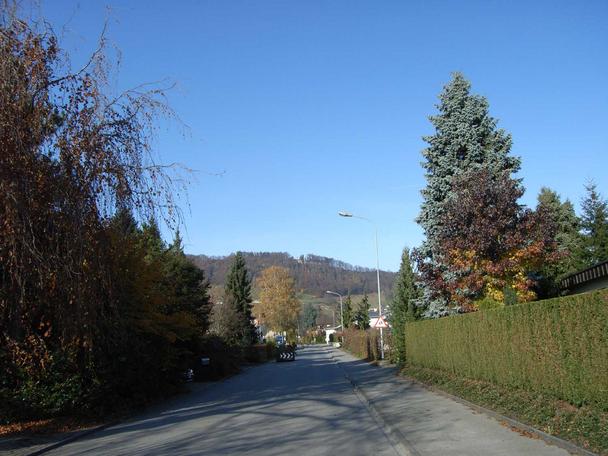Emserenstrasse mit Blick zur Meldegg
