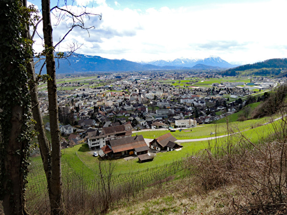 Blick vom Meldeggwald ins Rheintal