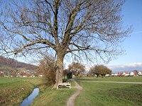 Idyllisches Plätzchen