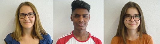 Lehrlingswesen