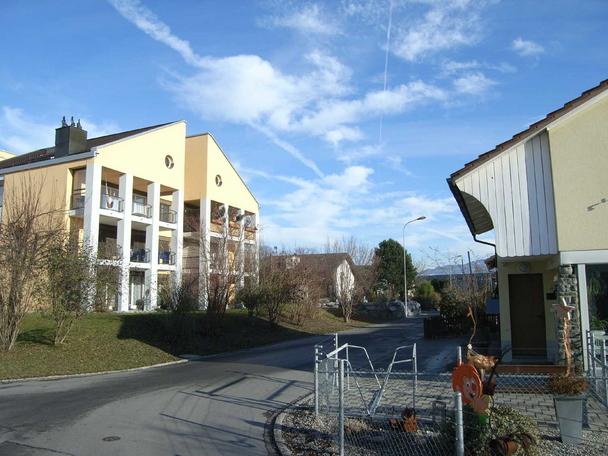 Das Quartier Neuwies in Heerbrugg besteht einerseits aus Mehrfamilienhäuser aber auch aus Einfamilienhäuser.