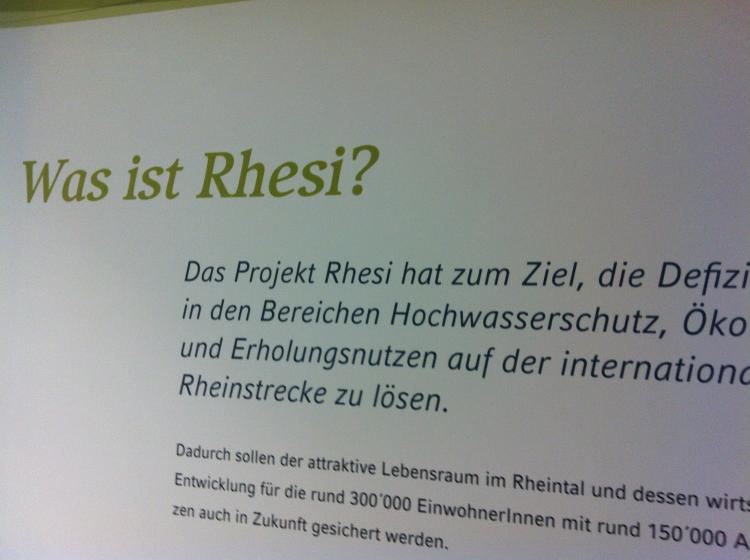 Was ist Rhesi?