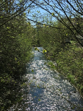 Eulach