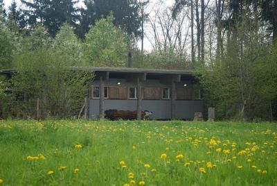 Waldhütte