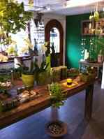 Bild Blumen Ambiance