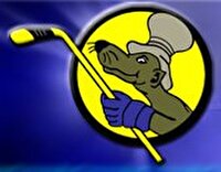 Logo Skater