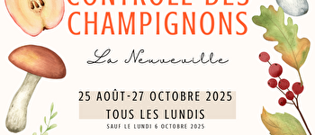 champignons