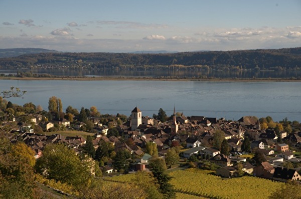 Vue de La Neuveville