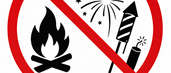 feux