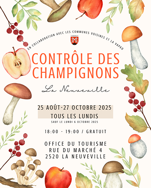 champignons